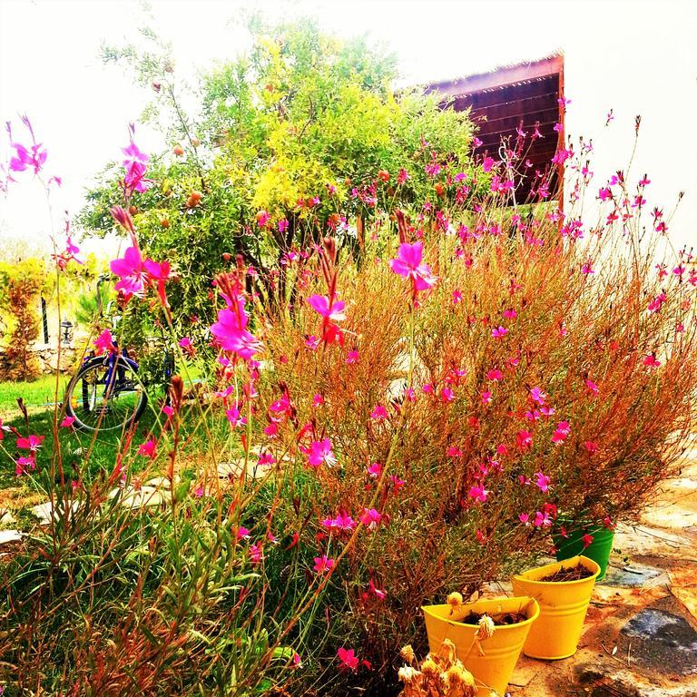 Nar Bagevi Hotel Bozcaada Exterior foto