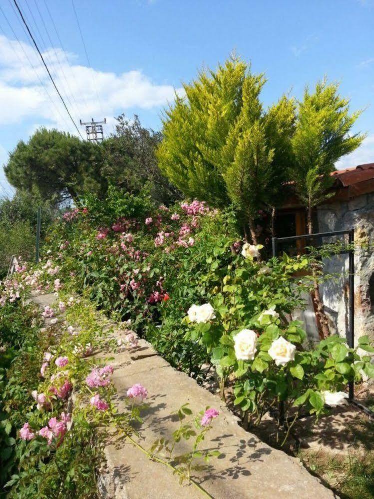 Nar Bagevi Hotel Bozcaada Exterior foto