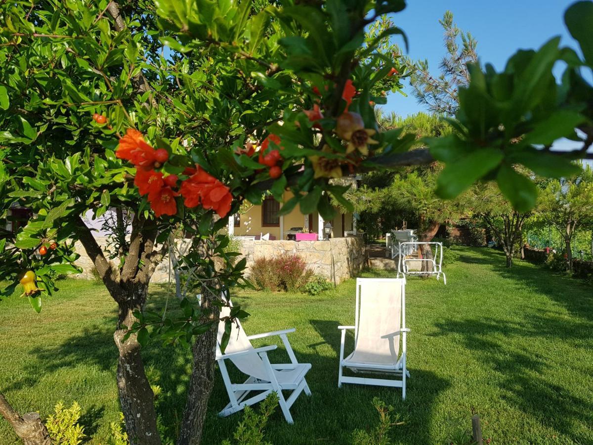 Nar Bagevi Hotel Bozcaada Exterior foto